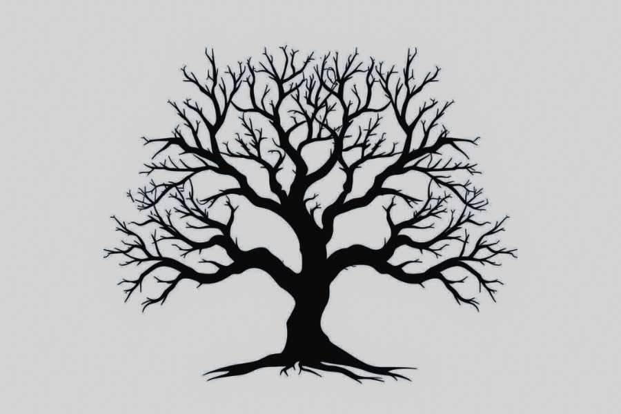 17th National School Games 2025