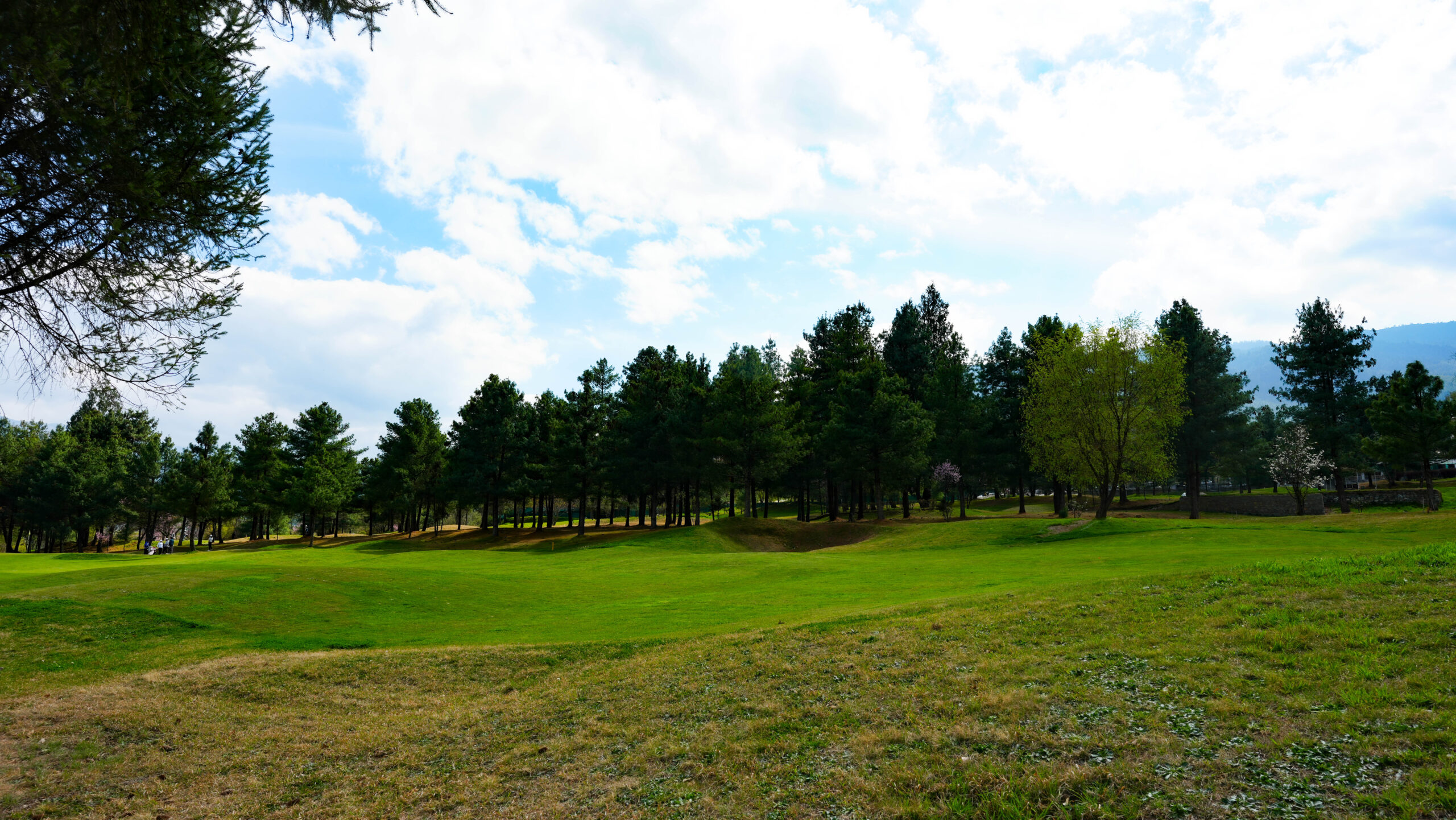 The CISCO Cup 2026 got underway yesterday at the Royal Thimphu Golf Course, with a full field taking to the fairways in the opening round of qualifiers. The tournament is being held to mark the 46th Birth Anniversary of His Majesty The King Jigme Khesar Namgyel Wangchuck. A total of 161 regular golfers are in contention this year, including three lady golfers, while the junior division has drawn 29 boys and girls. Played in the Stableford format over 18 holes, the early rounds are already testing consistency rather than risk taking, with players focusing on steady scoring to stay in contention. The qualifying rounds will continue until March 20, after which the field will be cut down for the final rounds scheduled on March 21 and 22.